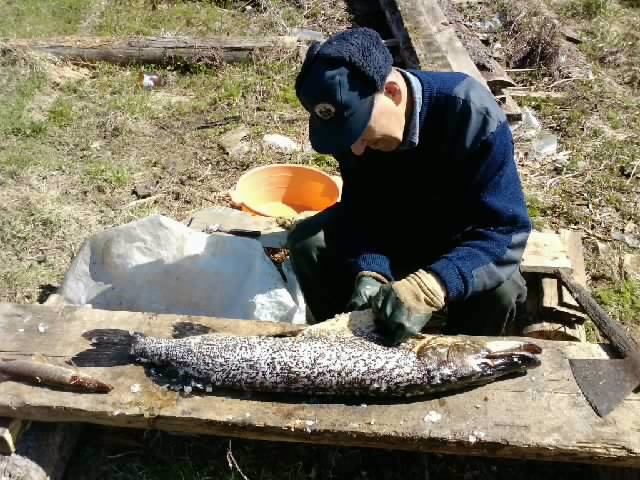 Дмитрий Хворостов фотография #43