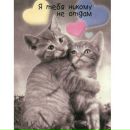 Андріана Кукицяк фотография #26 (источник - https://vk.com/id156969721)