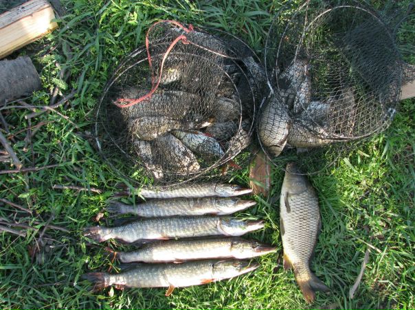 Игорь Дужик фото №6