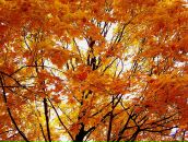 Фотография Жигаловой Марины