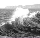 Фотография Козониной Анны