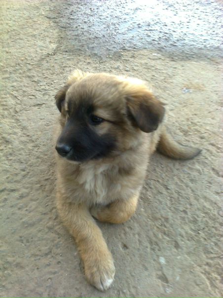 Сергей Кириллов фото №22