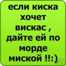 Андрій Пекар фотография #18 (источник - https://vk.com/id137845595)