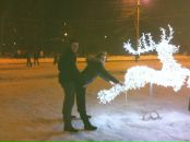 Фотография  