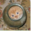 Фотография Статных Артема