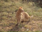 Фотография Наруск Виктории