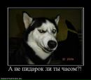Фотография Виталик Александрович