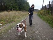 Фотография Ахмадишиной Лизы