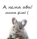Анюта :) фотография #20 (источник - https://vk.com/id143393966)