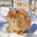 Фотография Фролова Владимира