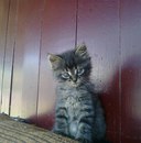 Андрій Шиян фотография #31 (источник - https://vk.com/id165225349)