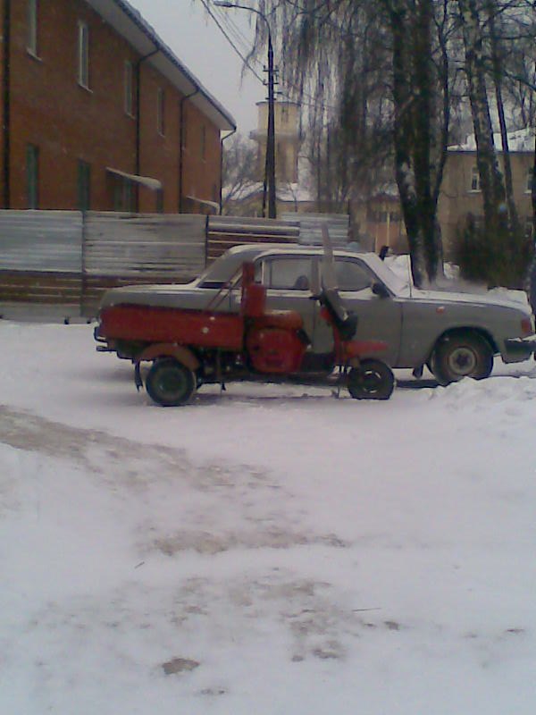 Макс Needwin фотография #26