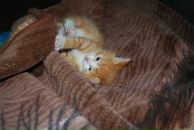 Андрей Рыбкин фотография #25 (источник - https://vk.com/id2490301)