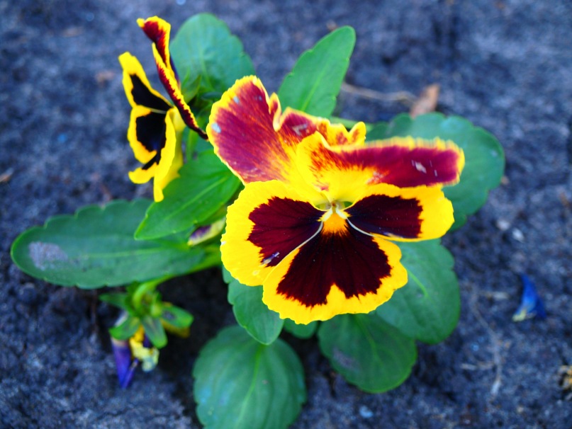 Сергей Гуревич фотография #30