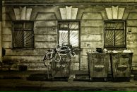 Anton Petroff фотография #41 (источник - https://vk.com/id1179318)