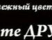 Ярослав Неділенько фотография #5 (источник - https://vk.com/id27974661)