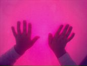 Фотография Рустамовой Вероники