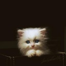 Арішка Соломонюк фотография #39 (источник - https://vk.com/id151415745)