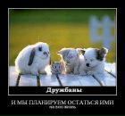 Фотография Анацко Бориса