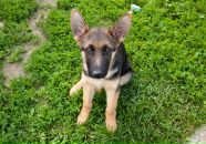 Сергей Кучин фотография #35 (источник - https://vk.com/id2726127)