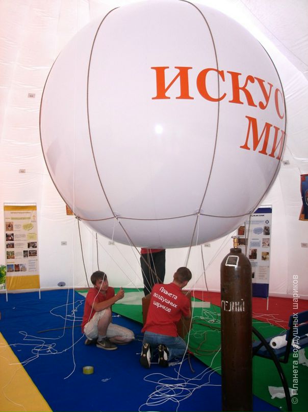 Дмитрий Цапцын фотография #40