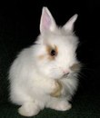 Влад Ефимоф=) фотография #23 (источник - https://vk.com/id154764952)