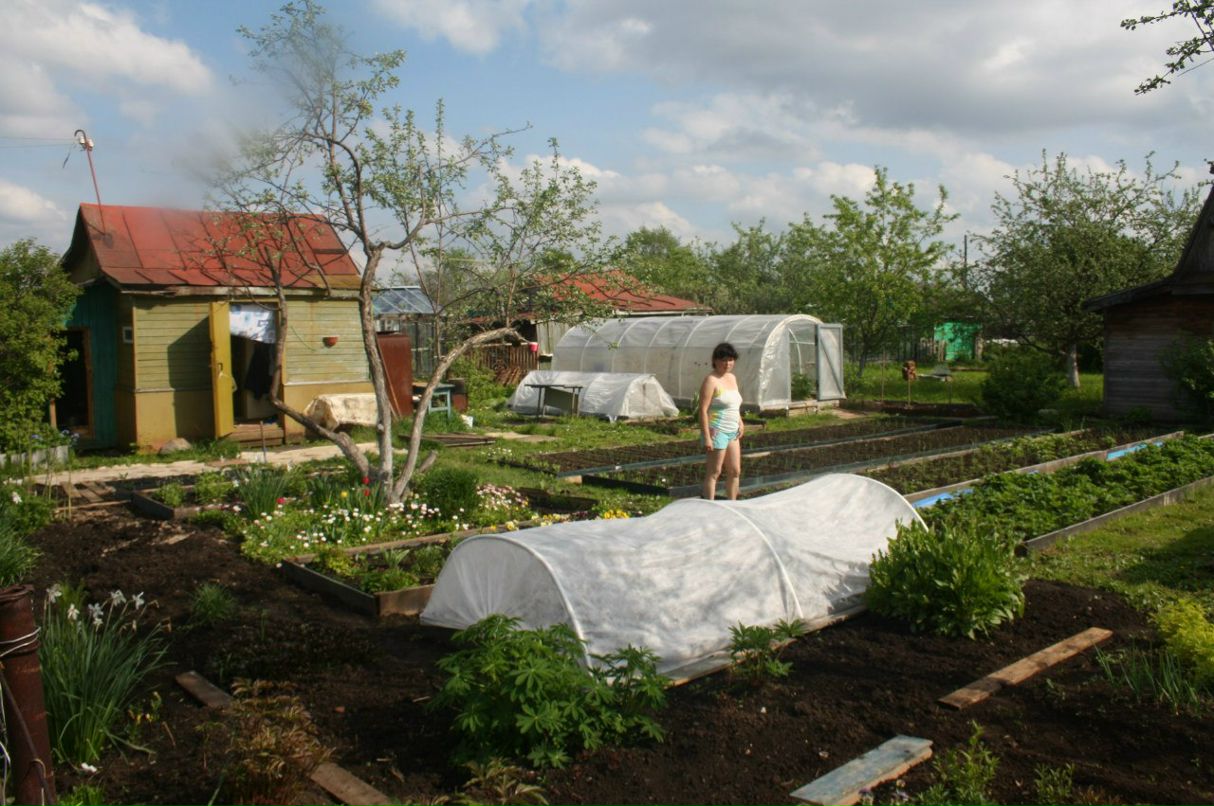 Иван Бобров фотография #30