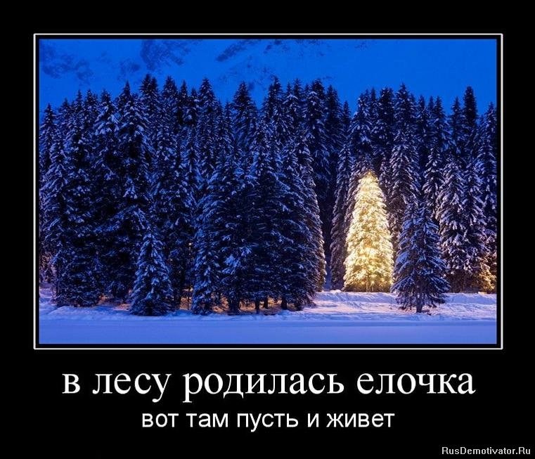 Данила Плотников фотография #44