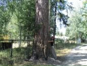 Фотография Исиной Альфии