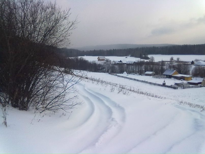 Дима Уткин фотография #4