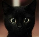 Фотография Ведический Астролог Катерины