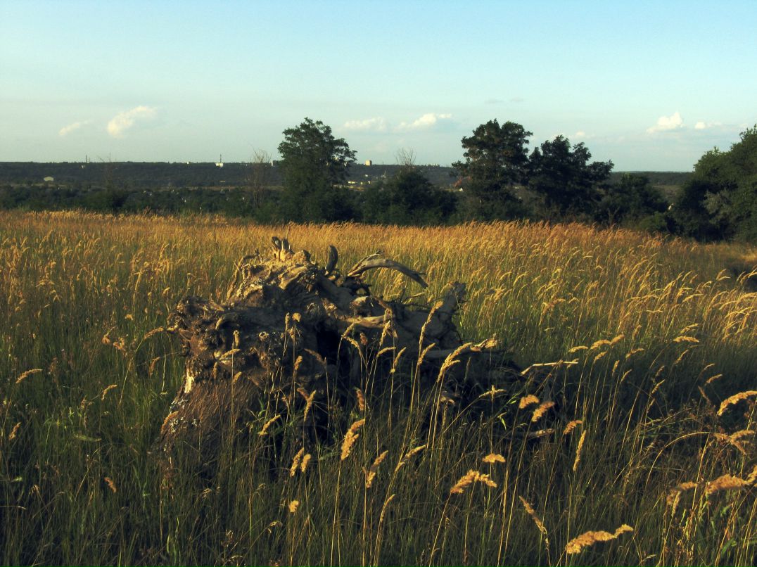 Вадим Воренас фотография #49