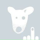 Ігор Дмитрук фотография #32 (источник - https://vk.com/id36405263)