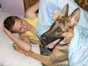 Мілена Клавіцка фотография #26 (источник - https://vk.com/id135722225)