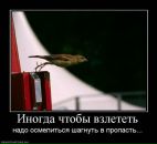 Сергій Баніт фотография #31 (источник - https://vk.com/id21088363)