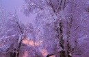 Лейла Вінкс фотография #47 (источник - https://vk.com/id162725697)