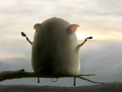 Наталья Романова фотография #35 (источник - https://vk.com/id2946591)