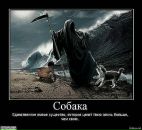 Віталій Віт фотография #19 (источник - https://vk.com/id55516767)