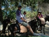 Фотография Острые Ножи Челябинска Ножи Ручной Работы