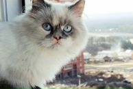 Фотография Бариевой Гульназ