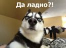 Фотография Евсина Кирилла