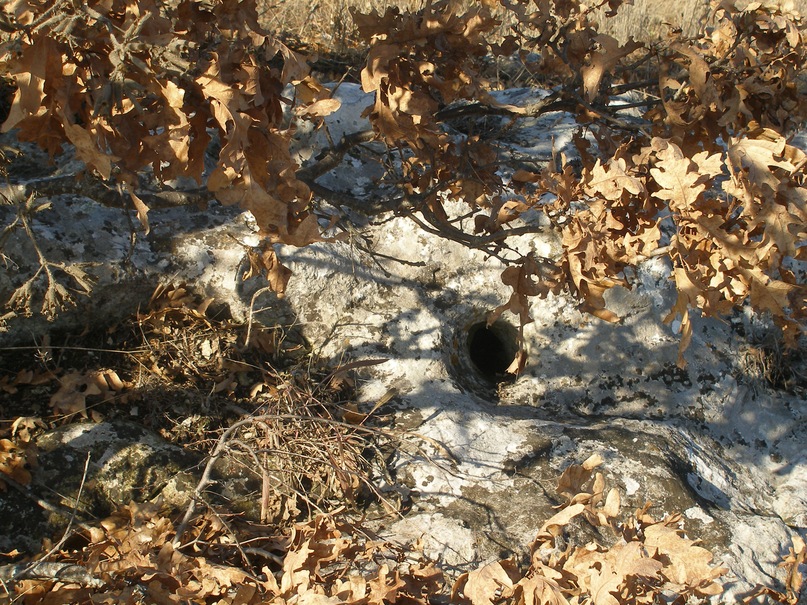 Тоха Тоха фотография #4