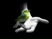 Фотография Марченко Елизаветы