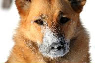 Фотография Быковской Аси