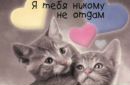 Ігор Кононенко фотография #30 (источник - https://vk.com/id163171488)