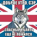 Stasqa Timofeev фотография #5 (источник - https://vk.com/id95564375)