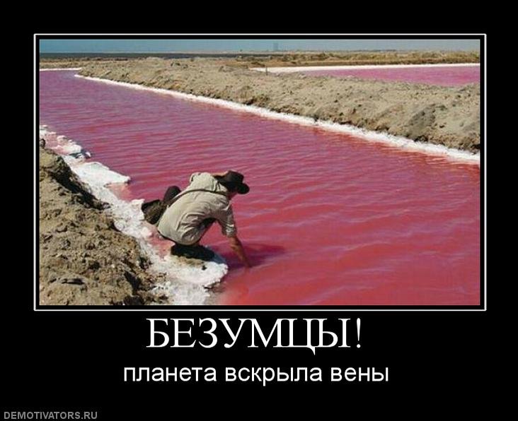 Александр Бажан фотография #27