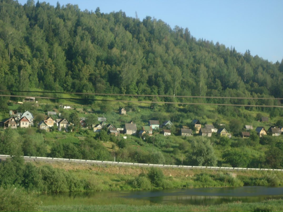 Максим Доля фотография #36