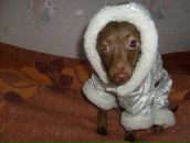 Фотография Александровой Илоны