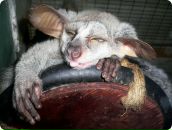 Фотография Спиридонова Константина